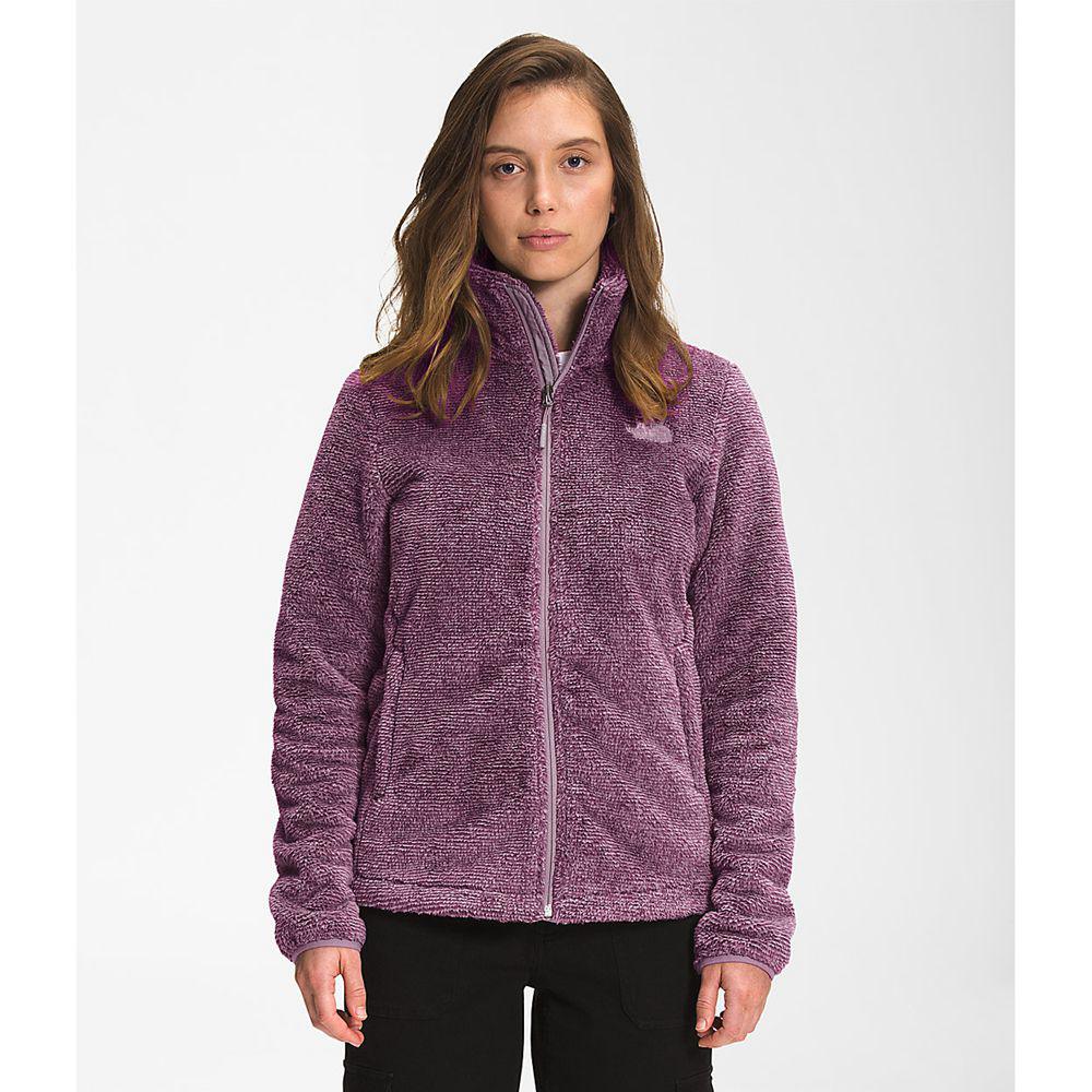 The North Face Printed Multi-Color Osito Γυναικεια Fleece - Γκρι / Μωβ (EHSD63901)